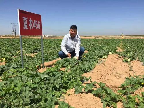 深圳百果园与夏能农业结盟在宁夏打造高品质生态农产品基地